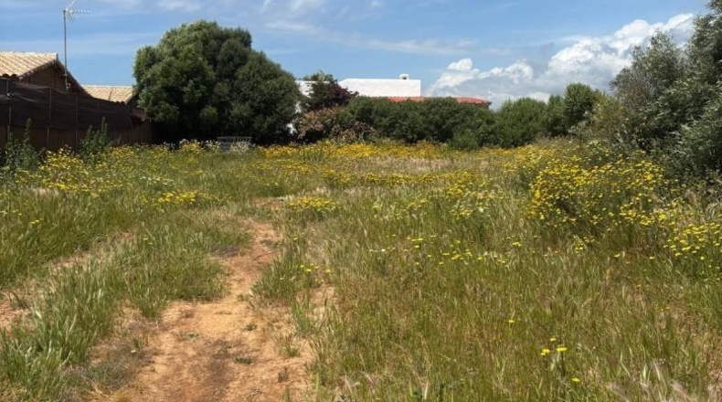 Cádiz - Barbate - 800m2