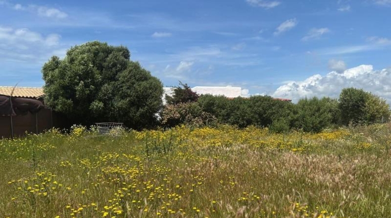 Cádiz - Barbate - 800m2