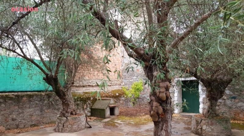 Córdoba - Pedroche - 664m2