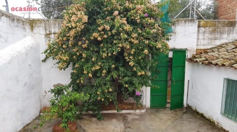 Córdoba - Pedroche - 664m2