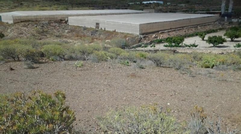 Santa Cruz de Tenerife - Granadilla de Abona - 3813m2