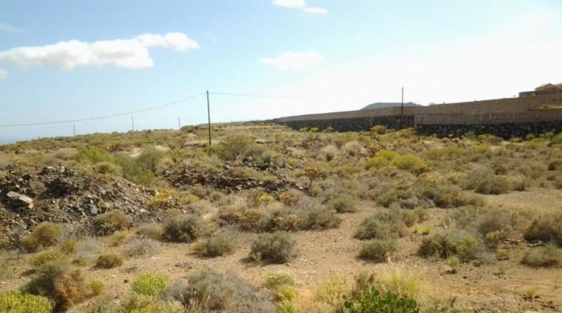 Santa Cruz de Tenerife - Granadilla de Abona - 3813m2