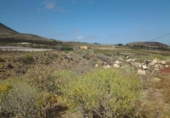 Terreny no urbanitzable en venda a la España, Granadilla de Abona, ref.: TR407771 foto