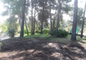 Parcel·la urbanitzable en venda a la España, Abrera, ref.: TR319246 foto