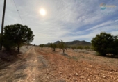 Casa de camp amb terreny en venda a la España, Fuente Álamo, ref.: TR341647 foto
