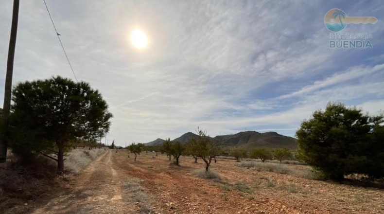 Murcia - Fuente Álamo de Murcia - 8909m2
