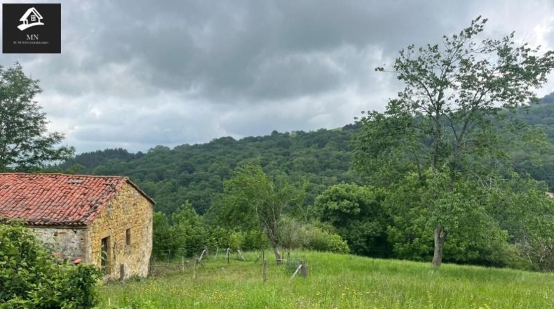 Cantabria - Villacarriedo - 10820m2