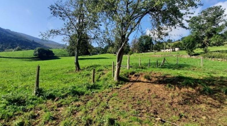 Cantabria - Villacarriedo - 10820m2