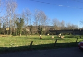 Sòl urbà en venda a la España, Santa María de Cayón, ref.: TR306452 foto