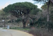 Sòl urbà en venda a la España, Sant Joan de Palamós, ref.: TR407776 foto