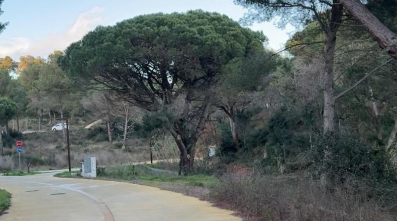 Gerona - Sant Joan de Palamós - 700m2