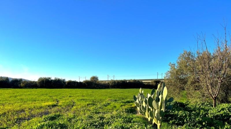 Malaga - Antequera - 8940m2