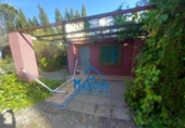 Detached villa with land for sale on España, Albacete, ref: TR280275 photo