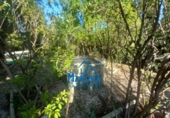 Detached villa with land for sale on España, Albacete, ref: TR280275 photo