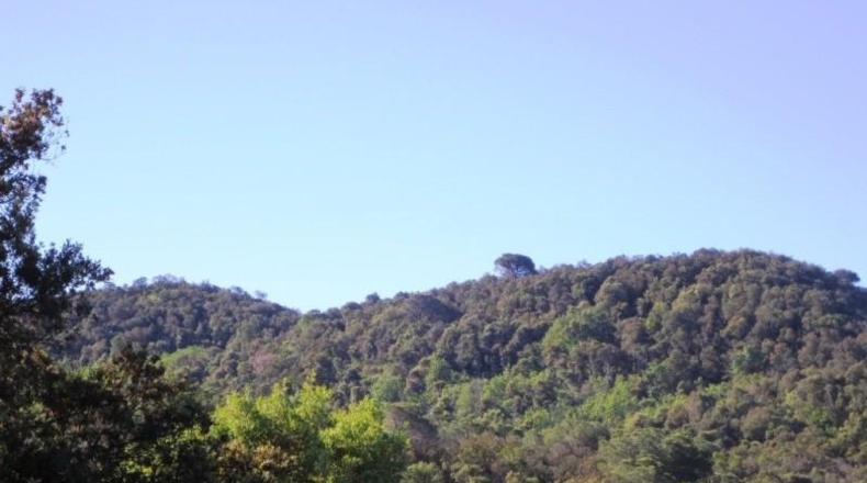 Barcelona - Tordera - 400000m2