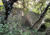 Casa de camp amb terreny en venda a la España, Tordera, ref.: TR398394 foto