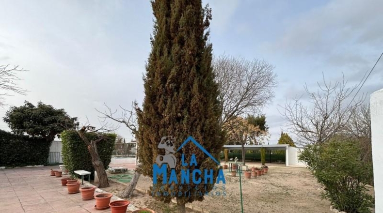 Albacete - Albacete - 1421m2