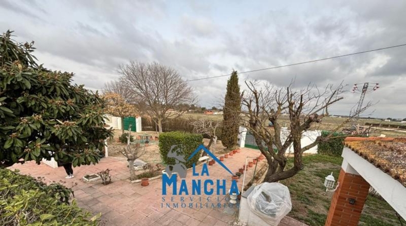 Albacete - Albacete - 1421m2