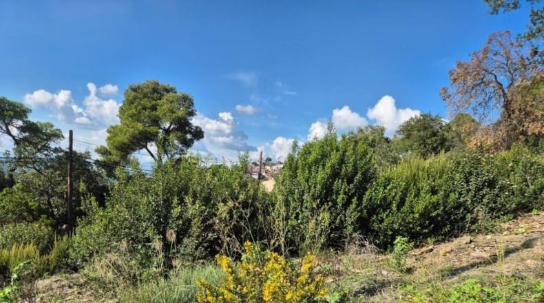 Barcelona - Barcelona - 350m2