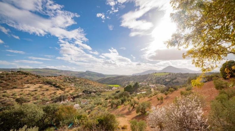 Málaga - Antequera - 167m2