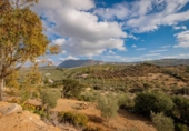 Chalet independiente con terreno en venta en la España, Antequera, ref: TR134371 foto