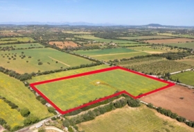 Porreras 29976&nbsp;m²