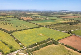 Porreras 29976&nbsp;m²