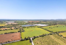 Porreras 29976&nbsp;m²