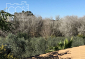 Xalet independent amb terreny en venda a la España, Pilas, ref.: TR142535 foto