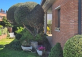 Chalet independiente con terreno en venta en la España, Alpicat, ref: TR344294 foto