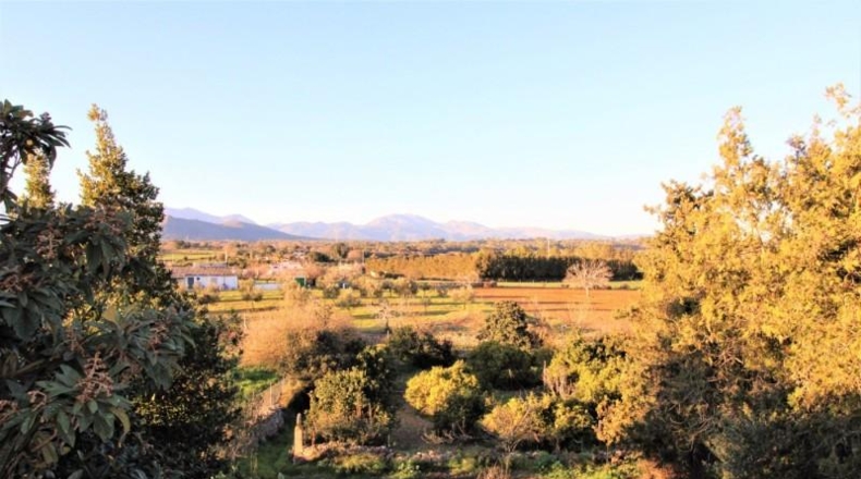 Islas Baleares - Llubí - 7103m2