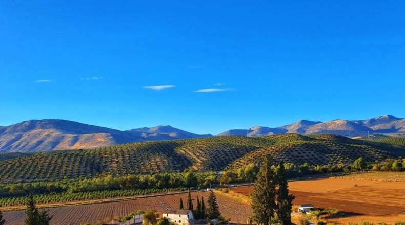 Granada - Albolote - 1200m2