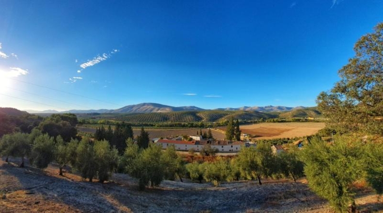 Granada - Albolote - 1200m2