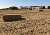 Casa de camp amb terreny en venda a la España, Chiclana de la Frontera, ref.: TR135483 foto
