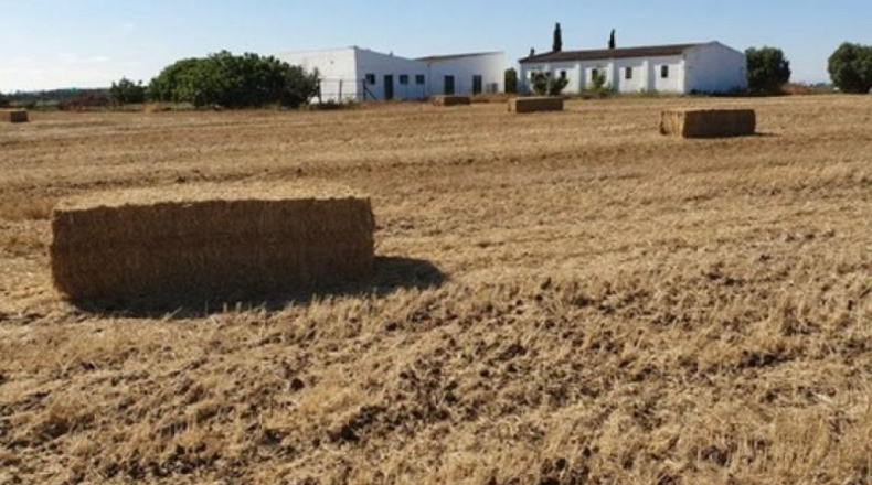 Cádiz - Chiclana de la Frontera - 200000m2
