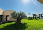 Chalet independiente con terreno en venta en la España, Petra, ref: TR387342 foto