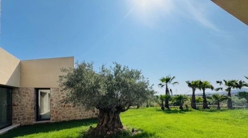 Islas Baleares - Петра - 10897m2