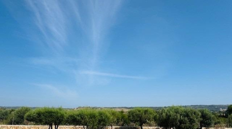 Islas Baleares - Петра - 10897m2