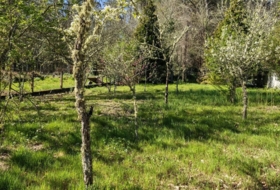 O Picouto 260&nbsp;m² 