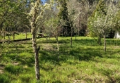 Casa de poble en venda a O Picouto ref.: TR407807 foto