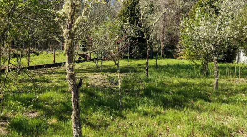 Orense - O Picouto - 260m2