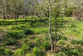 O Picouto 260&nbsp;m² 