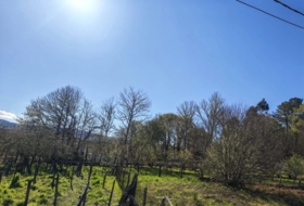 O Picouto 260&nbsp;m² 