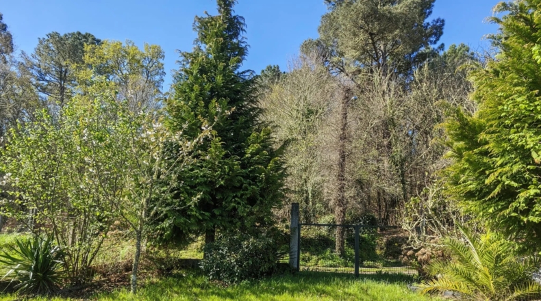 Orense - O Picouto - 260m2