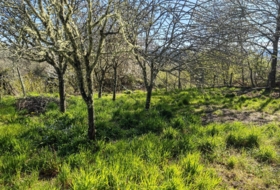 O Picouto 260&nbsp;m² 