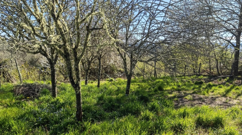 Orense - O Picouto - 260m2
