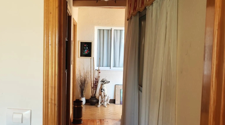 Orense - O Picouto - 260m2