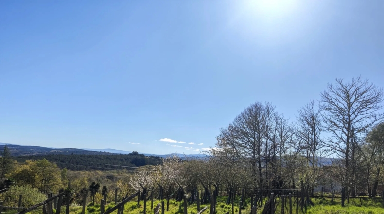 Orense - O Picouto - 260m2