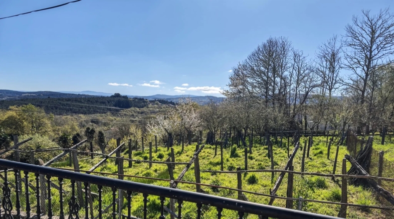 Orense - O Picouto - 260m2