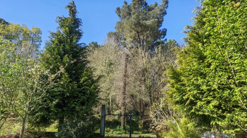 Orense - O Picouto - 260m2